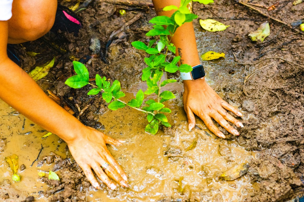 ESG, Conseil Environnemental & Social